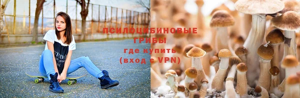 кокс Алзамай