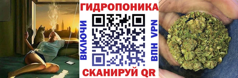 Бошки Шишки Amnesia  Суджа 